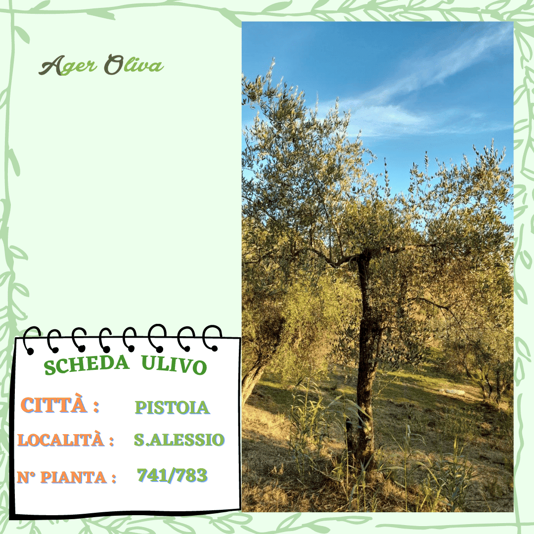 °741 Pistoia