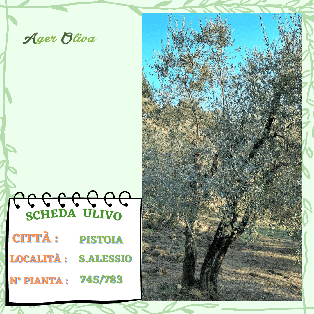 °745 Pistoia