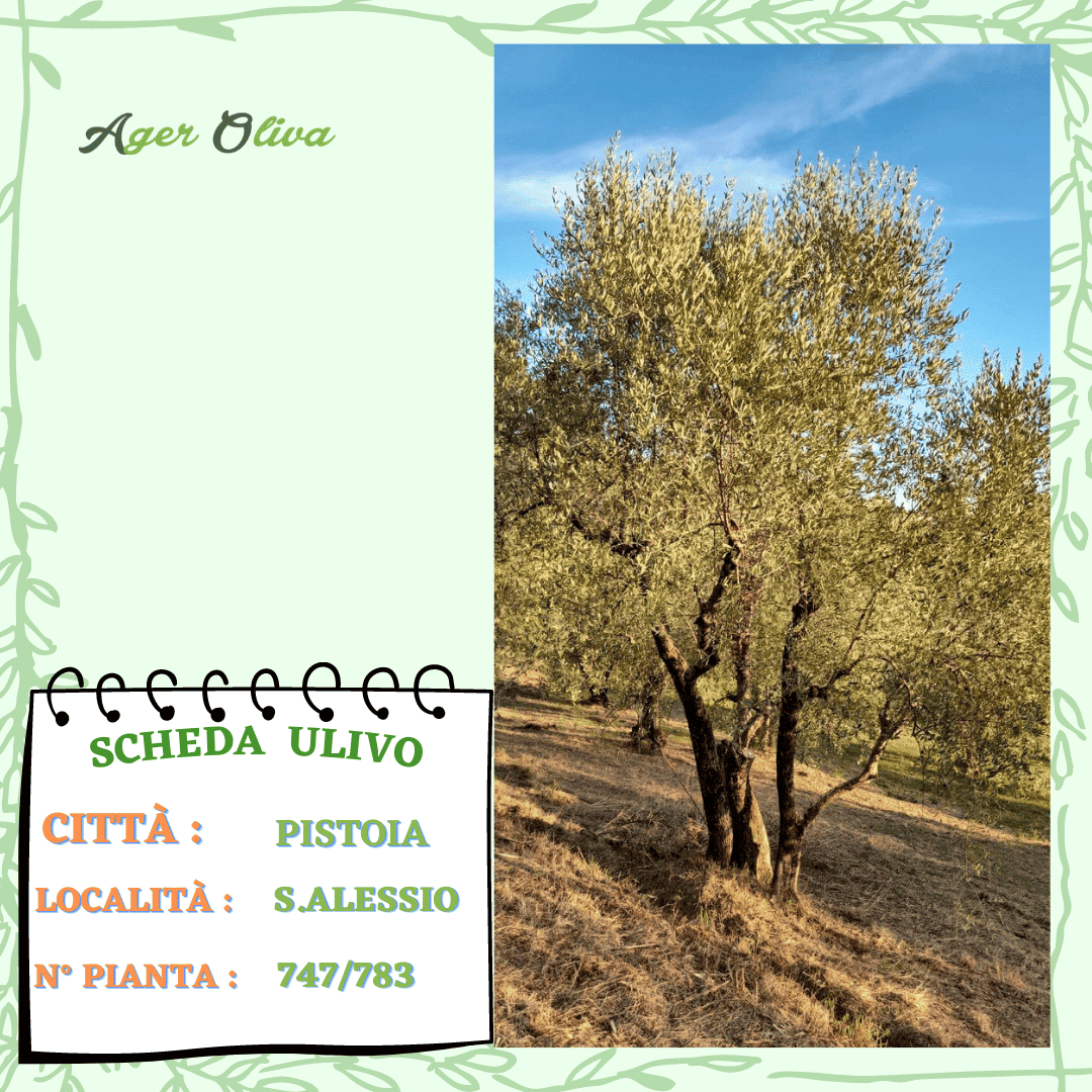 °747 Pistoia
