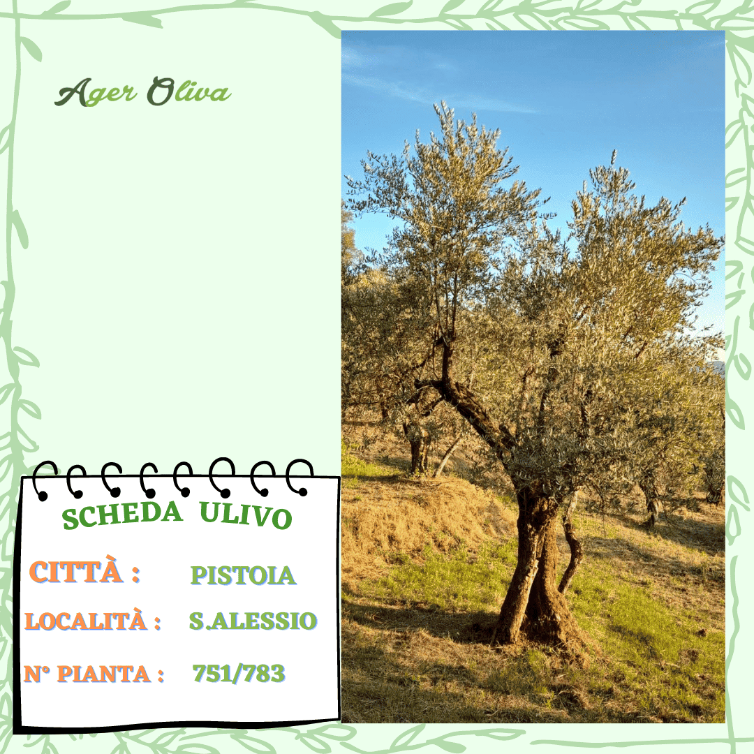 °751 Pistoia