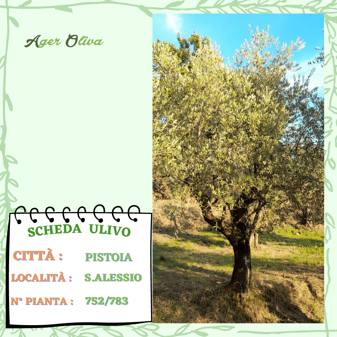 °752 Pistoia